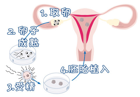 クリニック環境